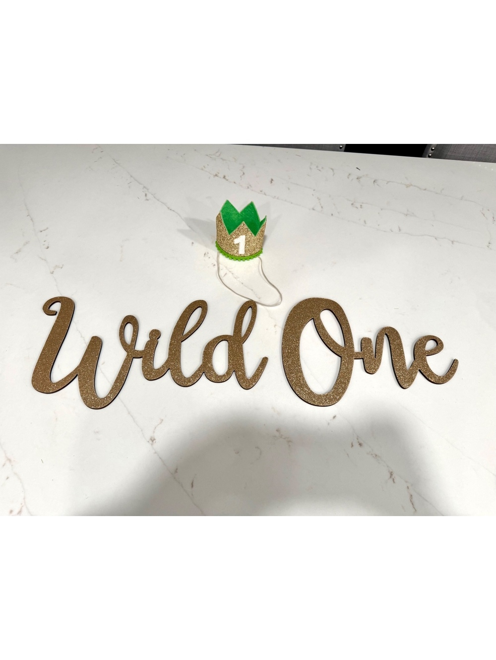 Wild One Party Sign and Hat - 1st Birthday